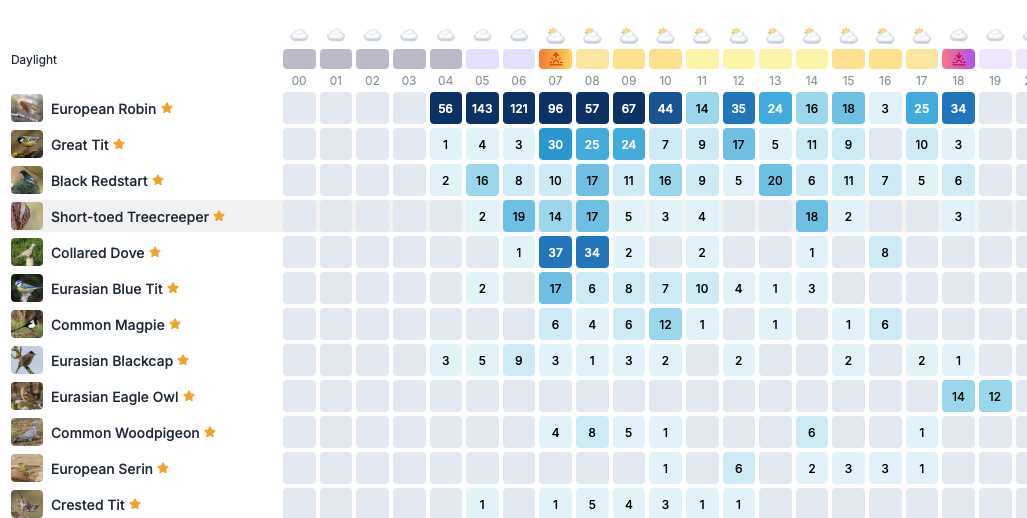 Heatmap grid showing bird detections by hour of the day